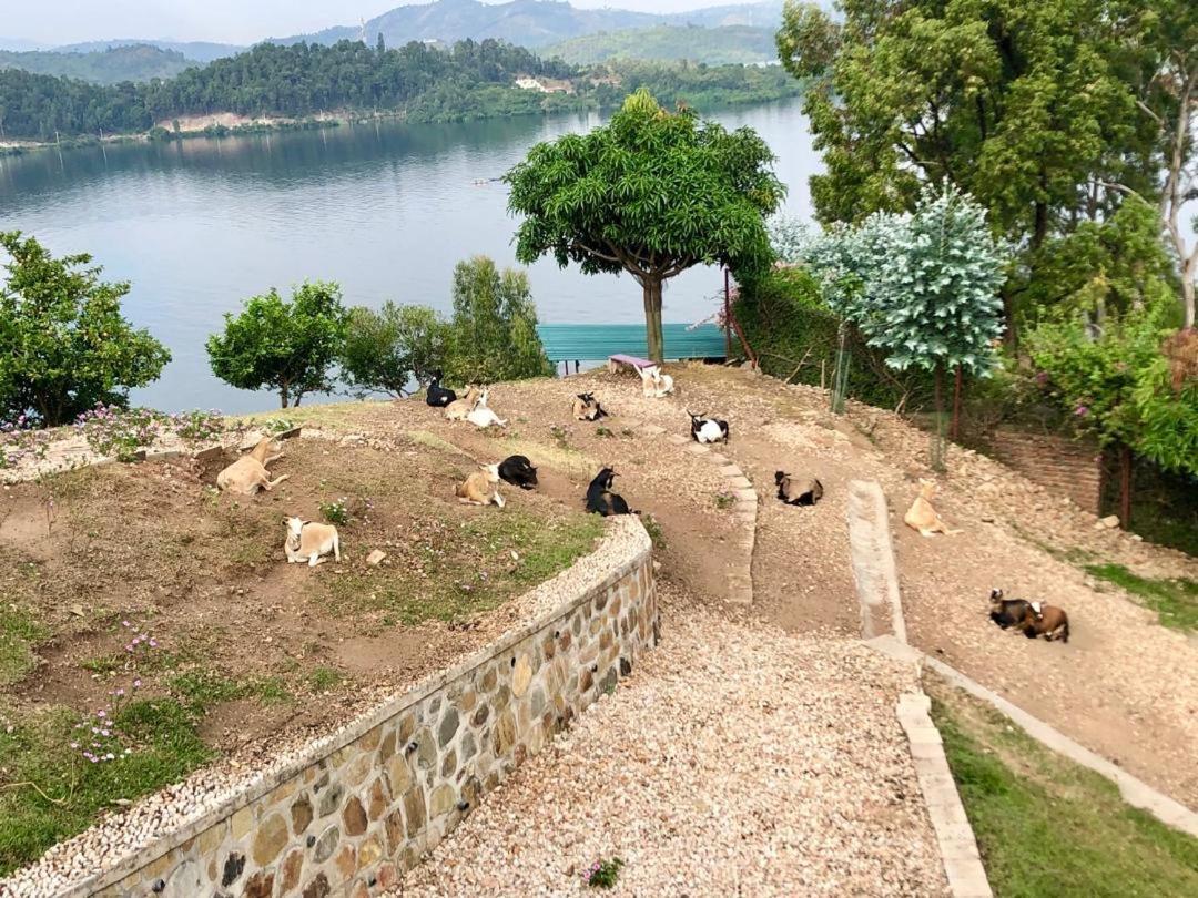 Amazi Land Home And Farm Stay Kibuye Exterior photo